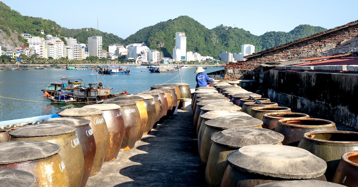 Town Census not Showing all Kittens - Barrels Standing on a Shore in Cat Ba Town, Cat Ba Island, Vietnam
