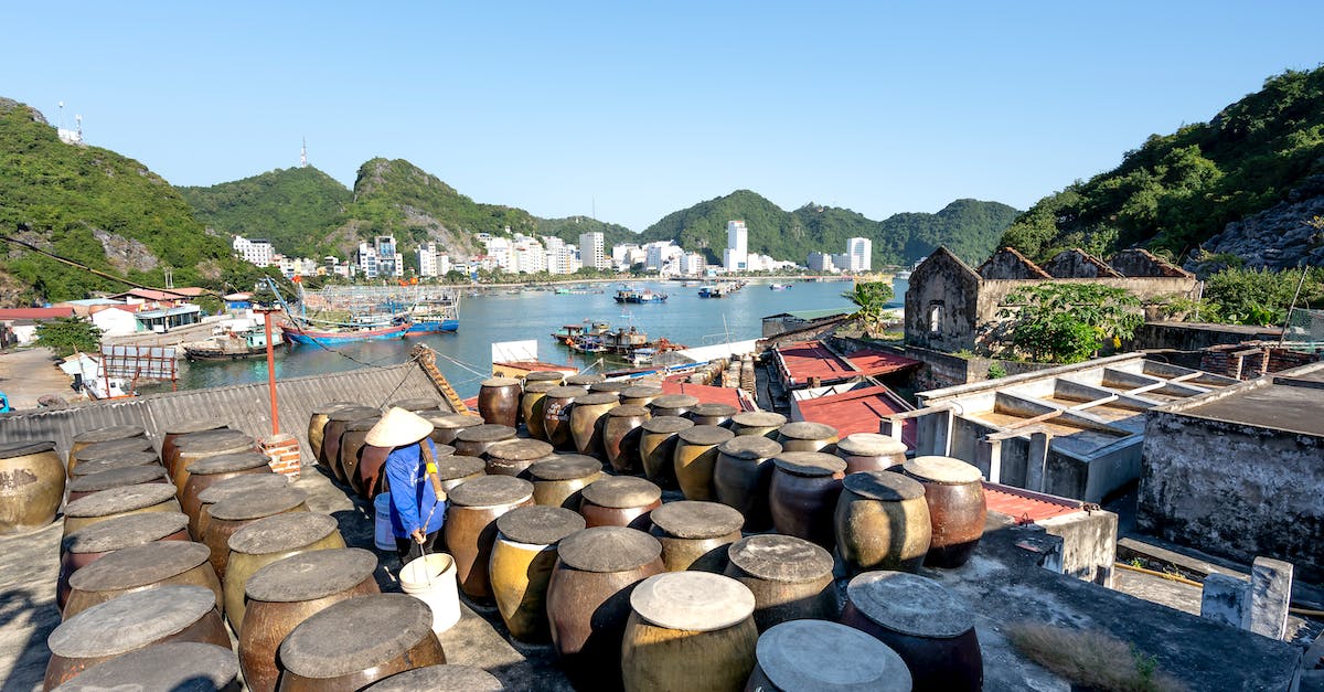 Town Census not Showing all Kittens - Barrels Standing on a Shore in Cat Ba Town, Cat Ba Island, Vietnam