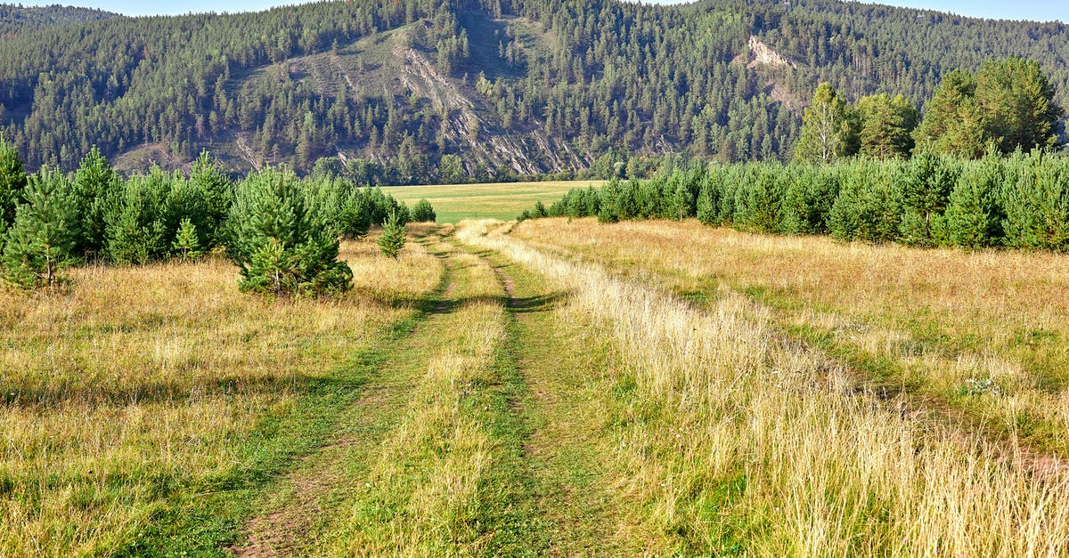 Trail is completely gone - Landscape of a Field and a Hill in Summer 