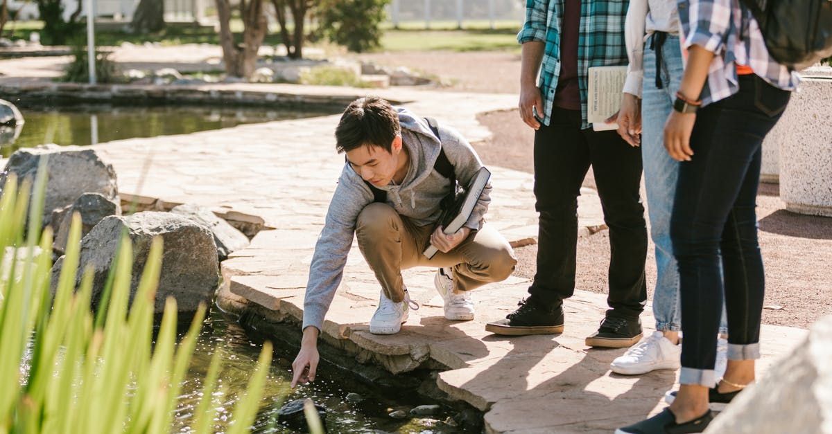 Transplant a turtle colony without Silk Touch? - A Student Touching a Turtle in the Pond