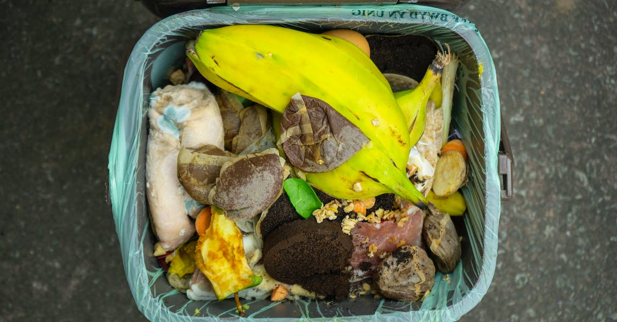 Trash Foods and Questions About It - Overhead Shot of a Garbage Can with Food Waste
