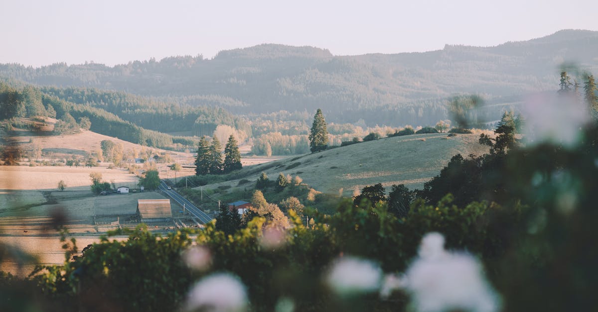 Tree Houses for Settlement Defense - Blooming flowers growing on grassy field surrounded by hills and narrow road passing near rural house in sunbeam Tree Houses for Settlement Defense - Blooming flowers growing on grassy field surrounded by hills and narrow road passing near rural house in sunbeam