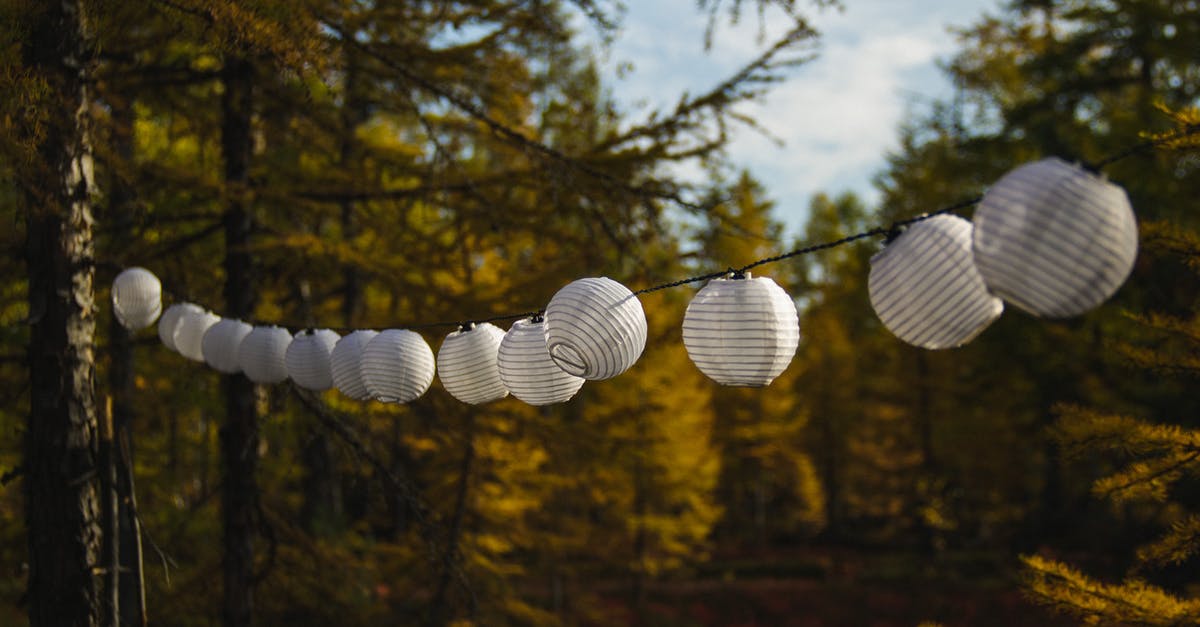Trouble wiring a double row of droppers - White String Lights Trouble wiring a double row of droppers - White String Lights
