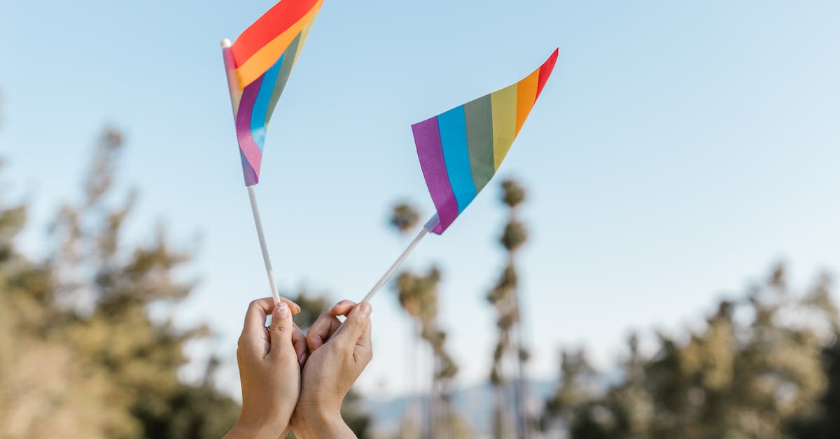 Two short pulses generated when input goes high - Two Unrecognizable Hands Holding High Small Rainbow Flags Two short pulses generated when input goes high - Two Unrecognizable Hands Holding High Small Rainbow Flags
