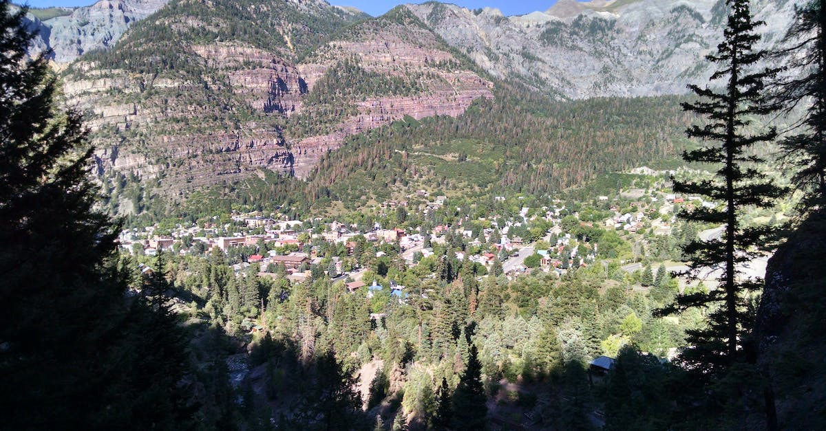 Unable to get to a point in Yeti Valley - Green Trees on Hills during Daytime