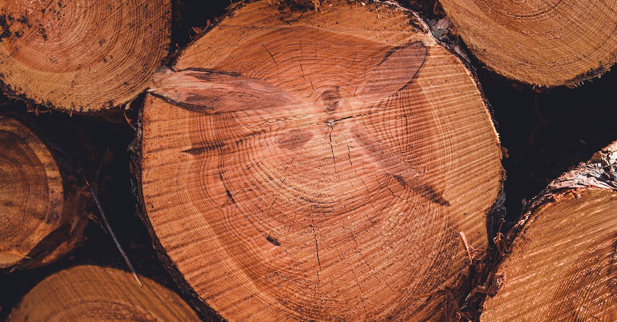 Unable to log into servers [closed] - Brown Wooden Log