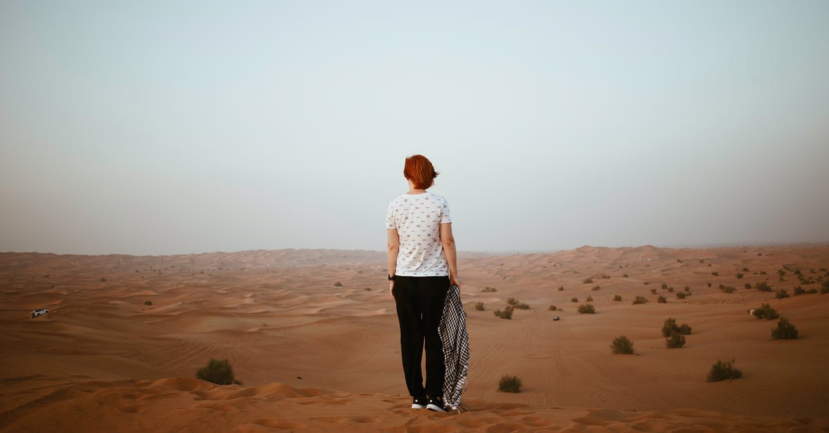 Uninstall, reinstall, lost entire vault, how do I get it back - Unrecognizable woman in endless desert in overcast