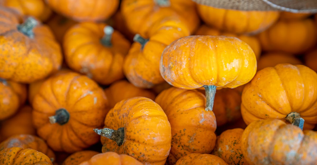 Unlimited orange omega shield? [duplicate] - Orange Pumpkins on Brown Woven Basket
