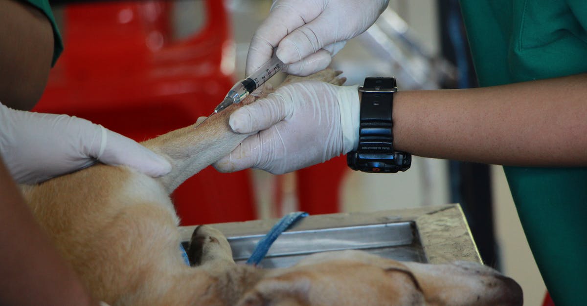 Unsupported resolution of Watch Dogs - Vet Vaccinating Adult Tan Pit Bull Terrier