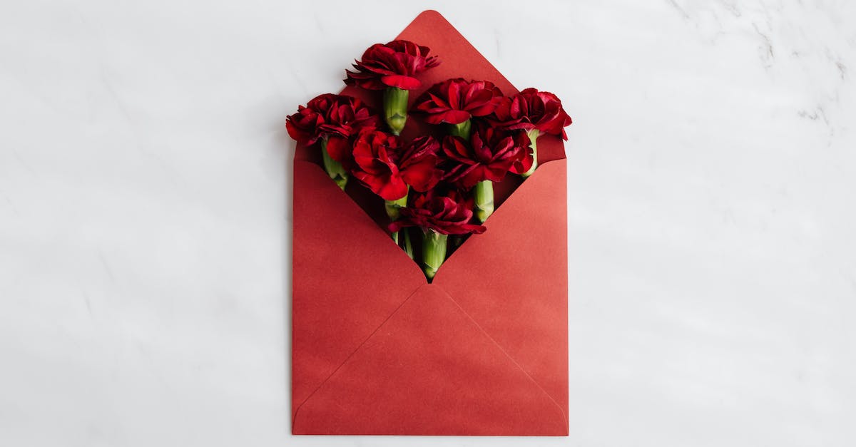 Use of red envelopes? - Top view of opened red envelope with beautiful red carnations against white background symbolizing congratulation concept Use of red envelopes? - Top view of opened red envelope with beautiful red carnations against white background symbolizing congratulation concept