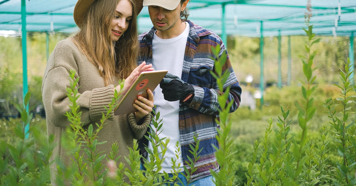 Using Radio to find higher SPECIAL dwellers - Focused couple searching information in farm Using Radio to find higher SPECIAL dwellers - Focused couple searching information in farm