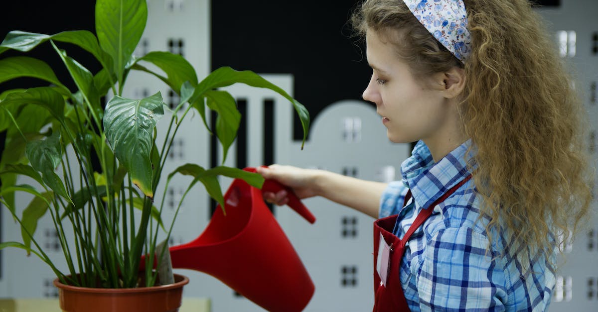 Vampire Bloodlines Can't be nice to Nines as a Ventrue - Woman Watering Plant