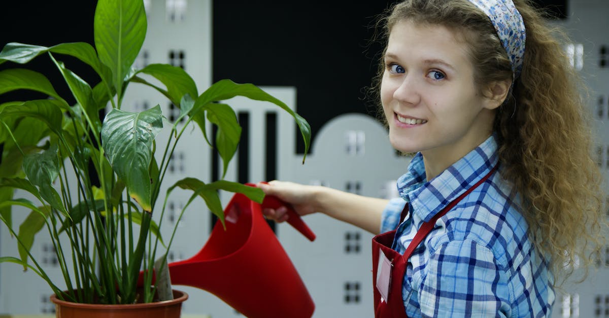 Vampire Bloodlines Can't be nice to Nines as a Ventrue - Woman Watering Plant