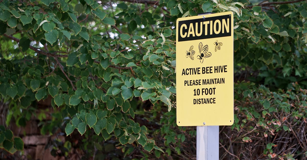 Vassal inheritance warning - Who must die? - An Active Bee Hive Signage Vassal inheritance warning - Who must die? - An Active Bee Hive Signage