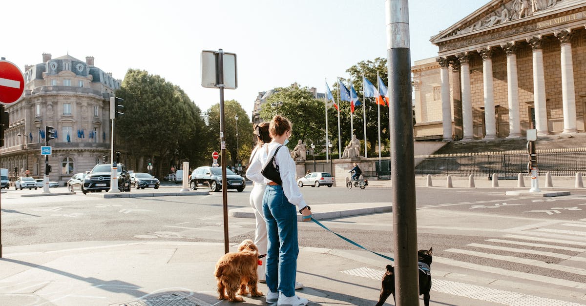 Vehicles in Watch Dogs - Women With Their Dogs on the Sidewalk