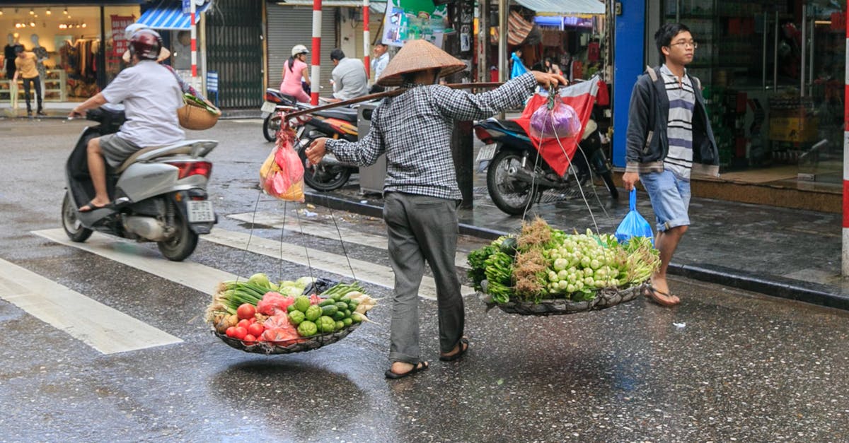 Vendor won't sell X-01 armor - Person Carrying Vegetables Passing on Road