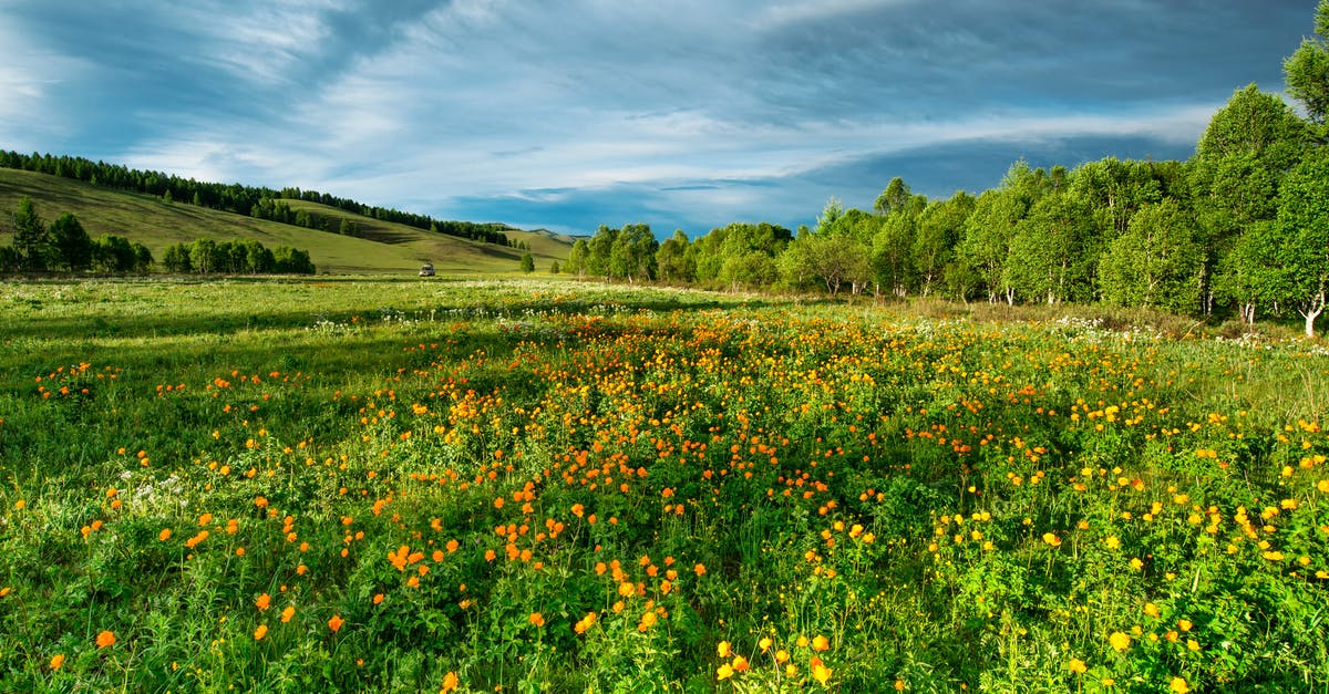 Villager farm getting clogged - Flower Field