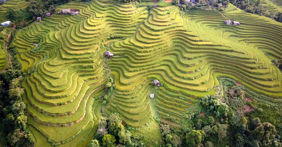Villagers Farming Crops on Minecraft Xbox One Edition - Green Grass Field