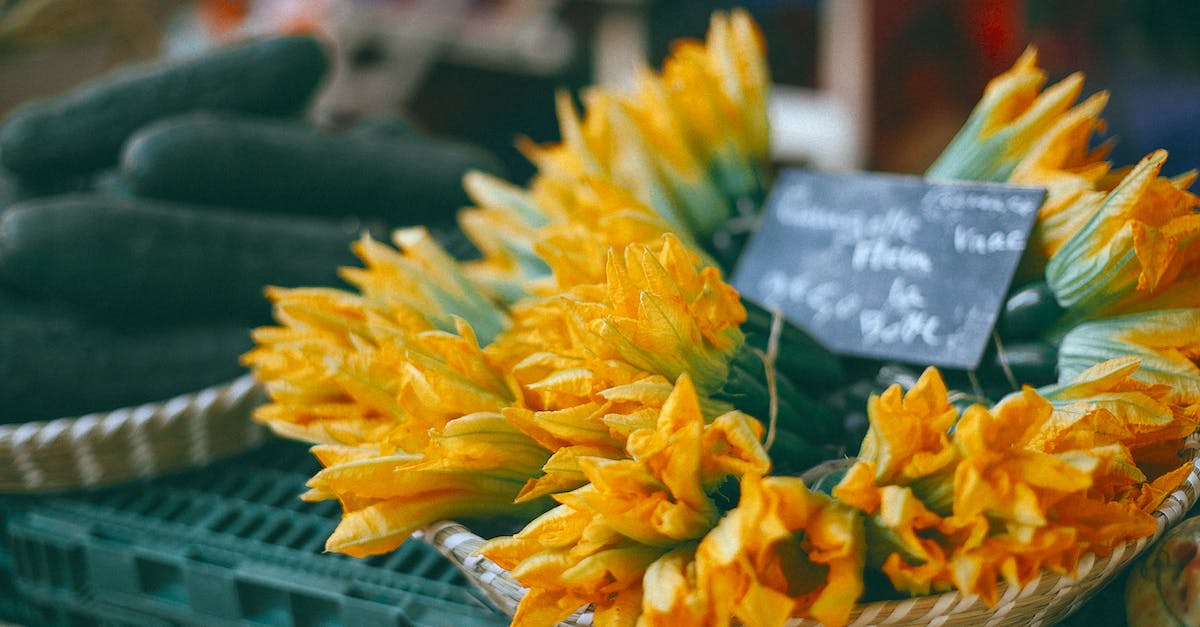 Villagers won't breed - plenty of food, fully traded - Zucchini flowers with price at counter in market Villagers won't breed - plenty of food, fully traded - Zucchini flowers with price at counter in market