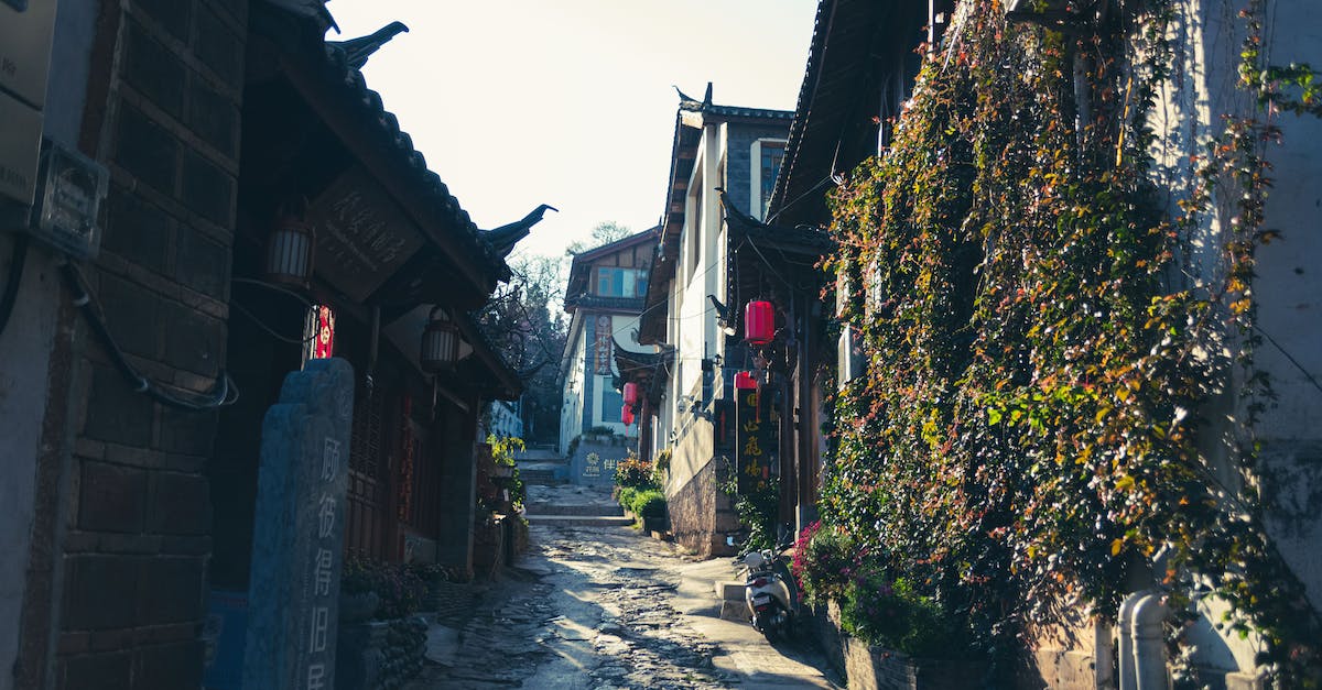 Villages on "Old" Worlds? - Street in Ancient Asian Town
