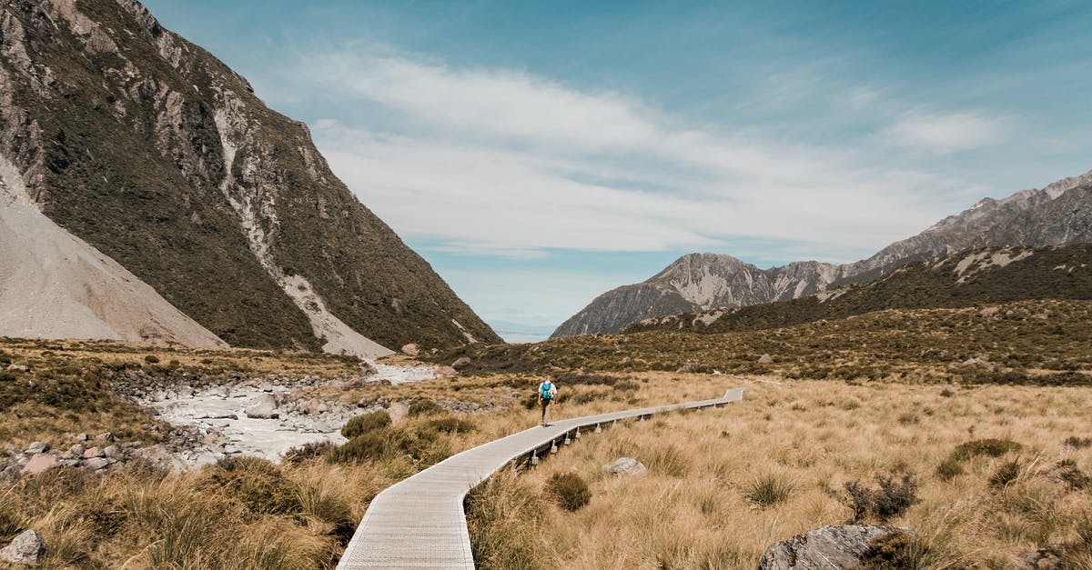 Walked the Path trophy on New Game+? - Photo of a Man Walking on Boardwalk Walked the Path trophy on New Game+? - Photo of a Man Walking on Boardwalk