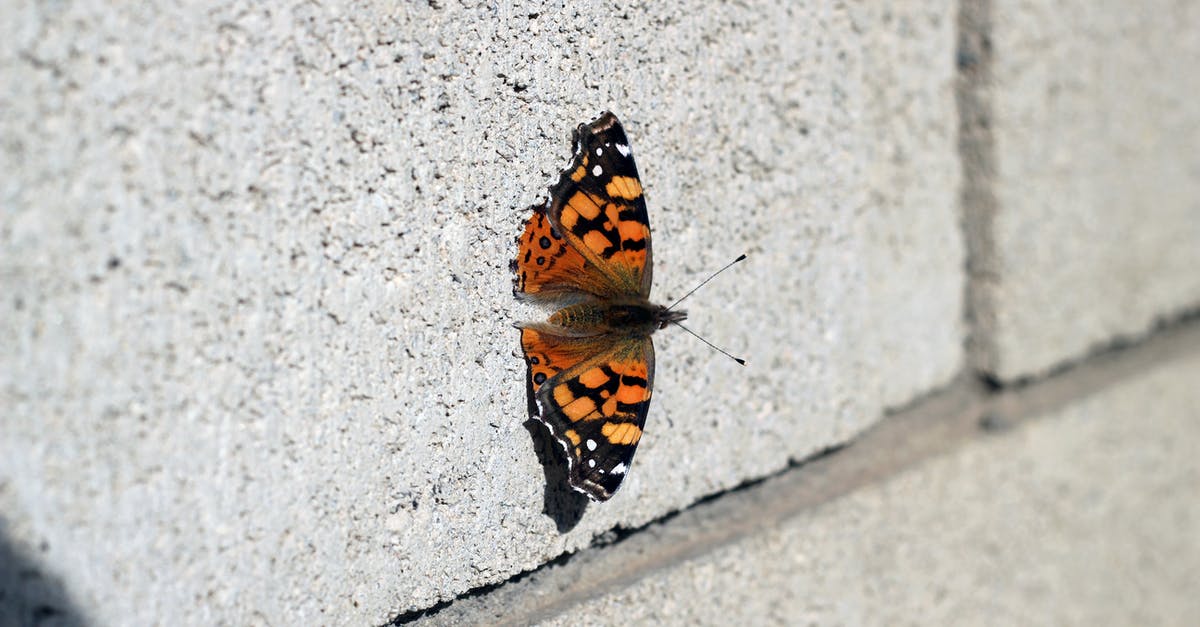 Wall of Flesh Glitch or Bug - Monarch Butterfly