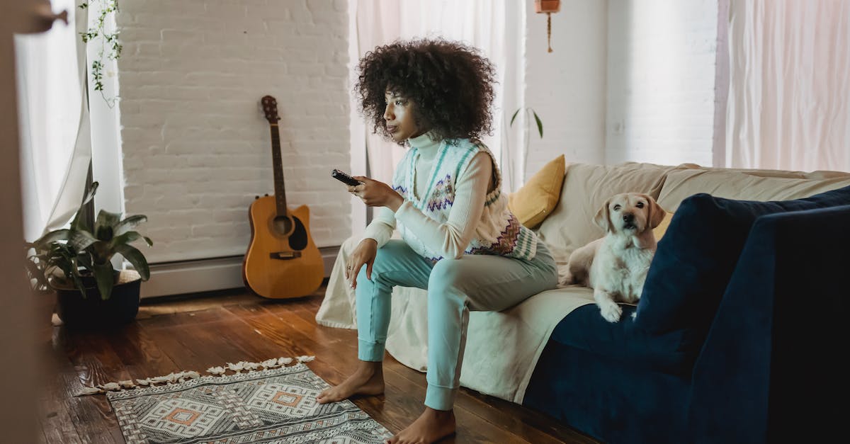 Watch Dogs: DX11 Error - Adorable dog relaxing on sofa neat calm black female owner watching TV