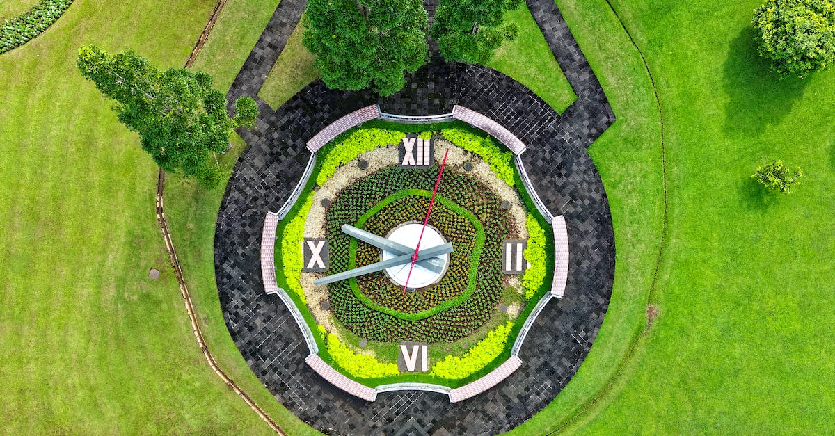 What's a 2×4 ultra clock? - Top-view Photography of Analog Watch Garden
