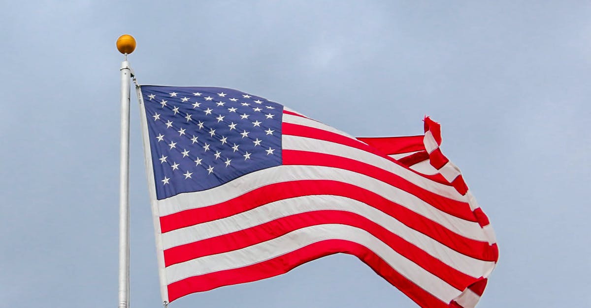 What's in Assassin's Creed Unity "special edition"? - Usa Flag Waving On White Metal Pole