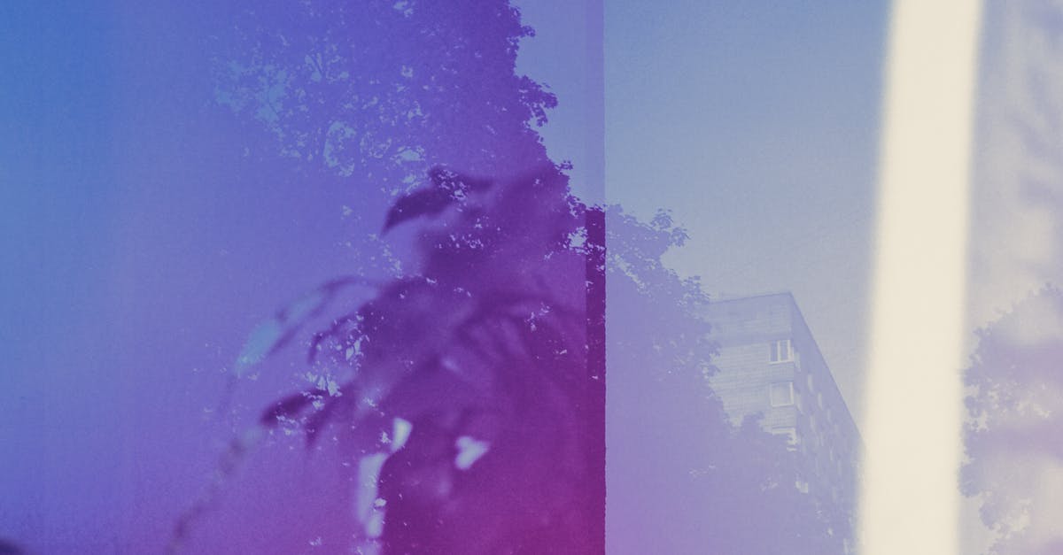 What's the area of effect for the Scarecrow? - Reflection of objects in room in window