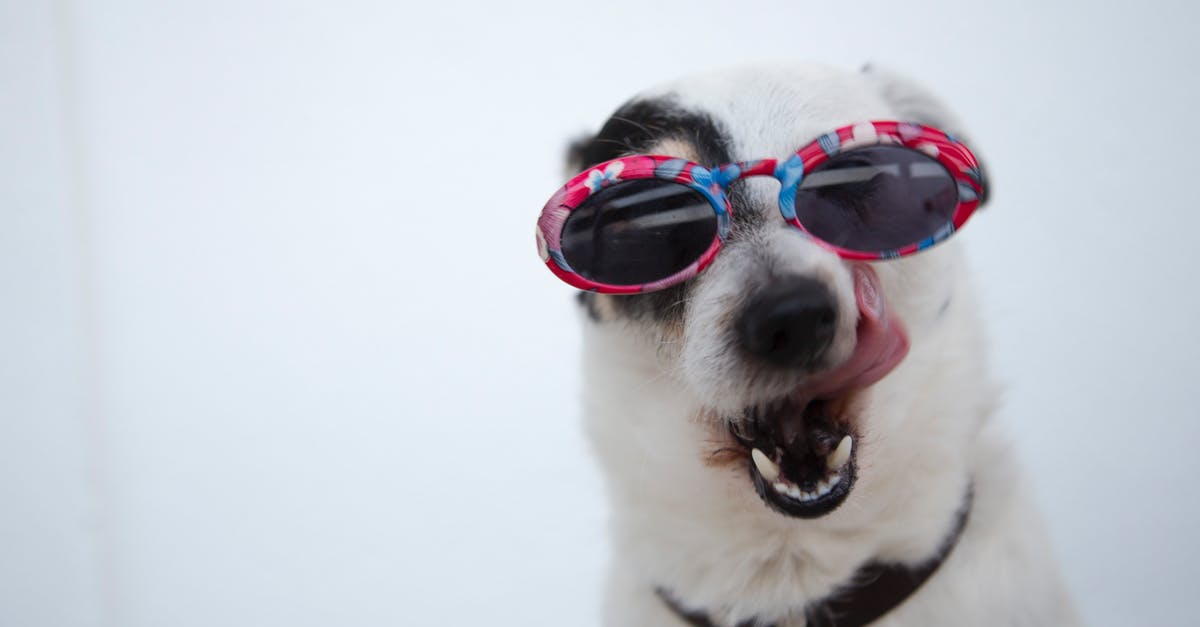 What's the best modifier for guns? - Close-Up Photo of Dog Wearing Sunglasses