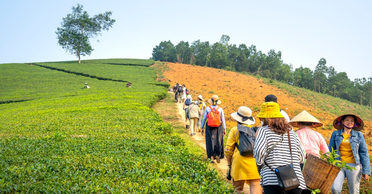 What's the best way to collect all Goodies in Runabout 2? - Group of people on path between tea fields