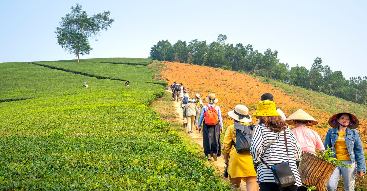 What's the best way to collect all Goodies in Runabout 2? - Group of people on path between tea fields What's the best way to collect all Goodies in Runabout 2? - Group of people on path between tea fields