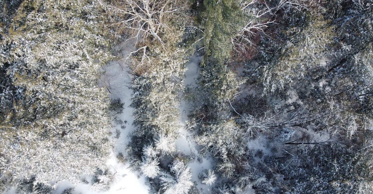 What's the biggest caps reward from Mysterious Stranger? - Aerial View of Trees on Snowfield