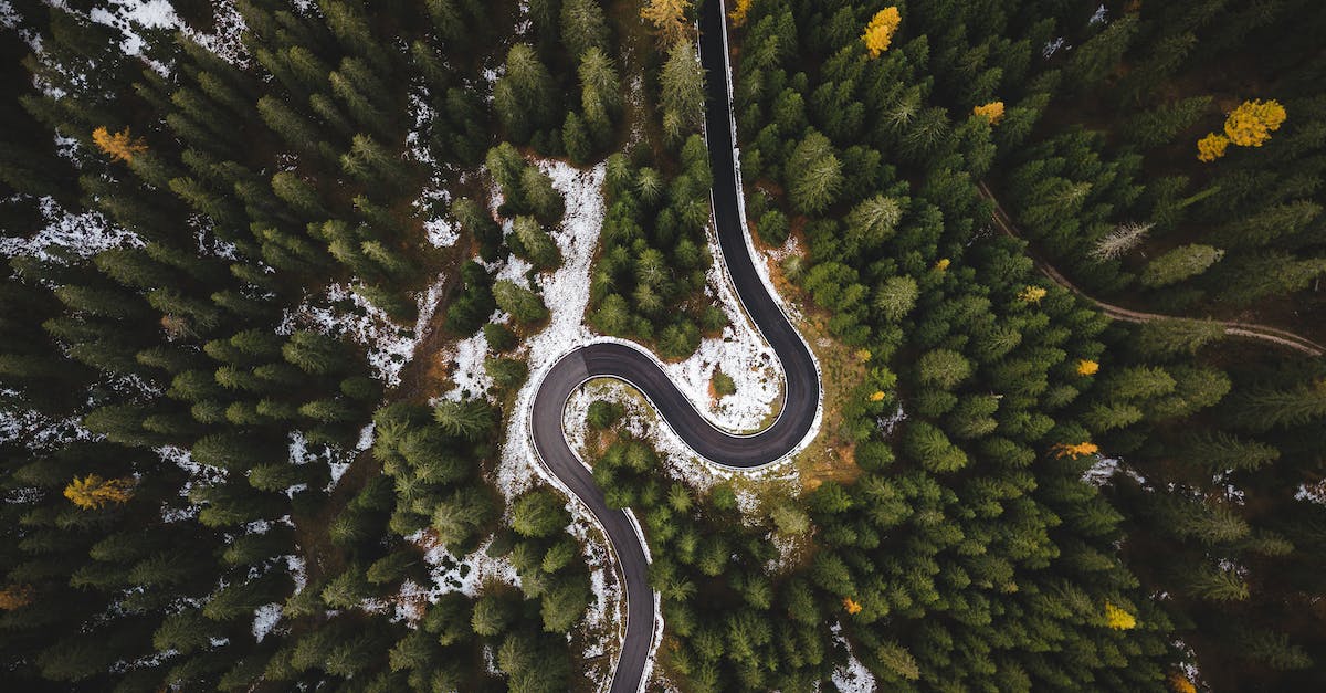 What's the cheapest way to achieve the salvaging monthly requirement? - Bird's Eye View Of Roadway Surrounded By Trees