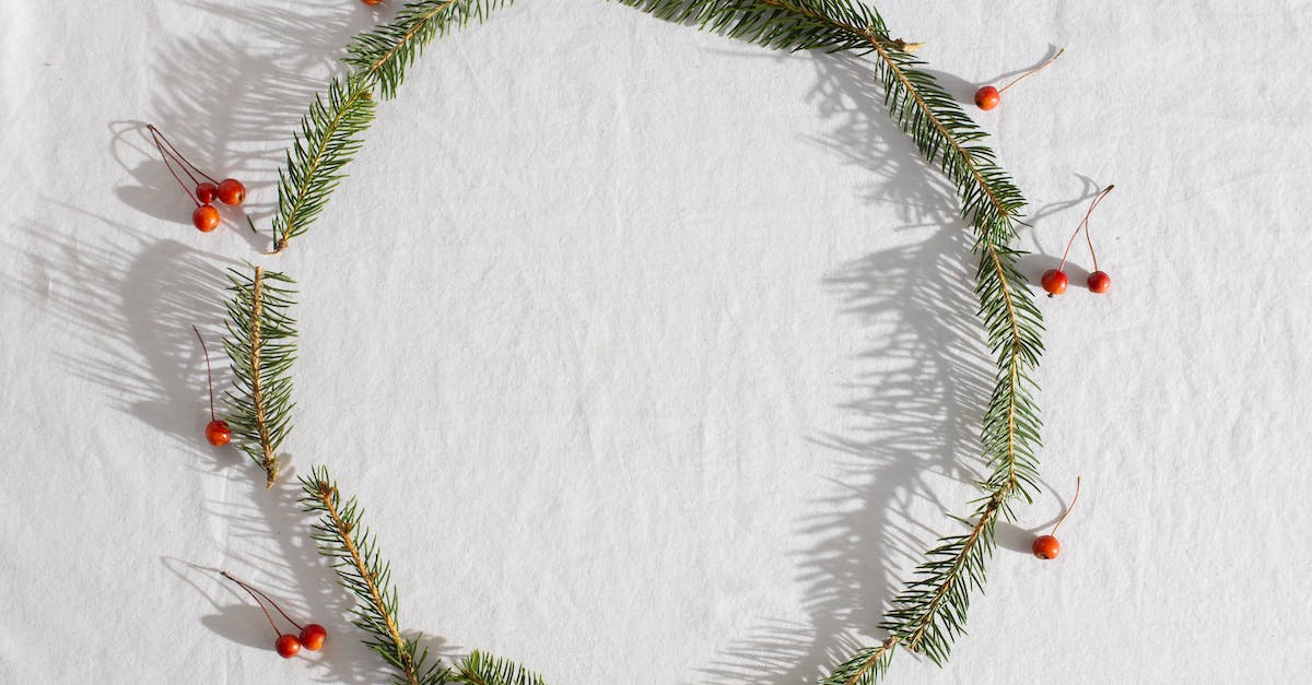 What's the chronological order of all the events in Hotline Miami 2? - Top view of fresh coniferous branches with red holly berries placed in round on white fabric What's the chronological order of all the events in Hotline Miami 2? - Top view of fresh coniferous branches with red holly berries placed in round on white fabric