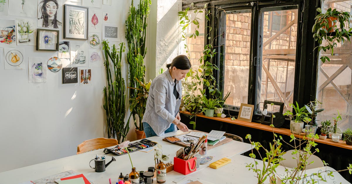 What's the difference between DQMJ2 and DQMJ2 Professional? - Side view of female designer creating drawings at desk with collection of felt pens and papers near wall with artworks and plants on windowsill in daylight What's the difference between DQMJ2 and DQMJ2 Professional? - Side view of female designer creating drawings at desk with collection of felt pens and papers near wall with artworks and plants on windowsill in daylight