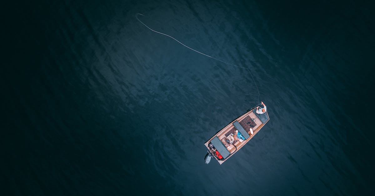 What's the difference between fishing and diving? - Bird's Eye View On Canoe 
