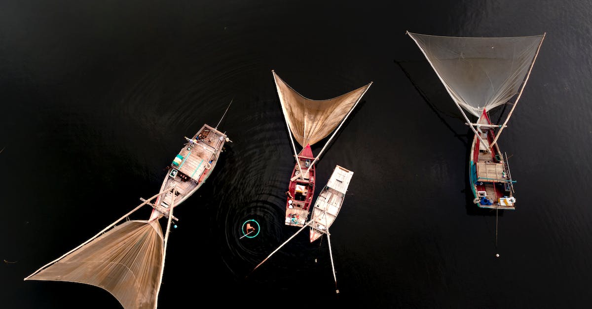 What's the difference between fishing and diving? - White Umbrella With Two Red and White Plastic Bags