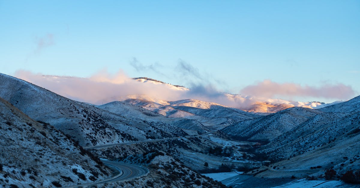 What's the difference between getting the High Road or Low Road during the Marla mission? - Black and Gray Floral Textile