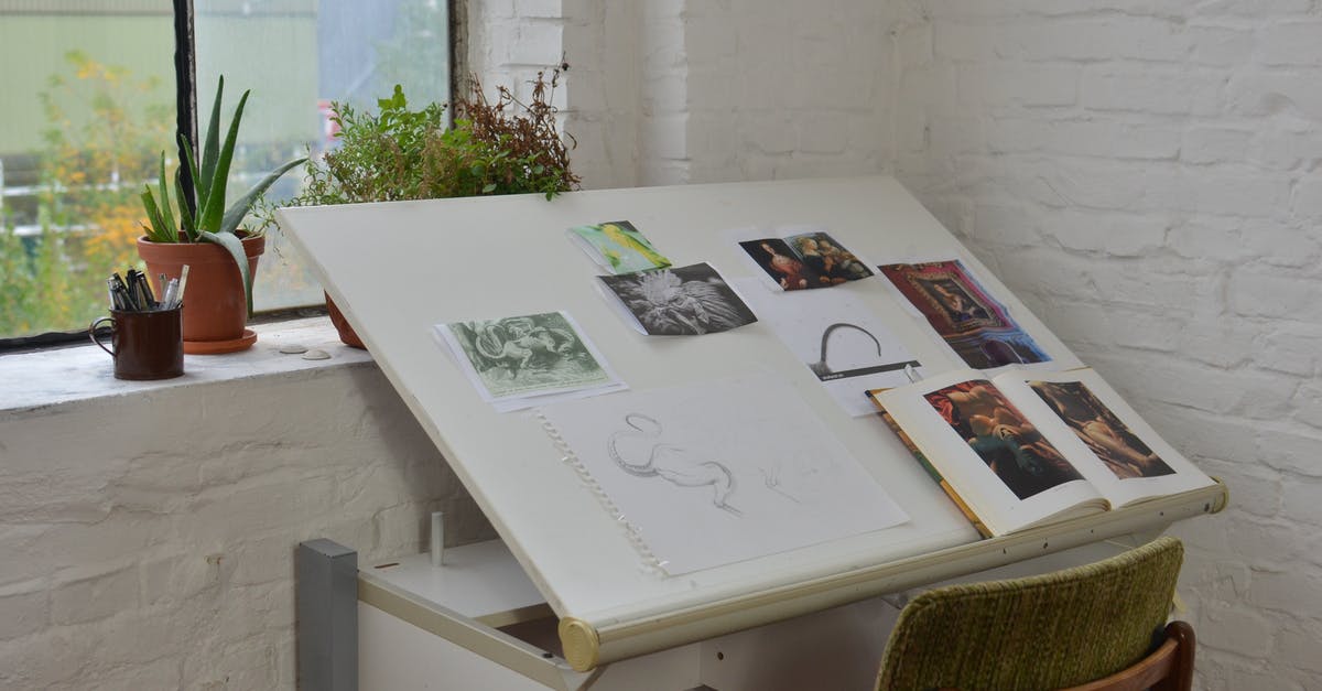 What's the difference between paint jobs and variants? - Table with open book and various pictures in workshop