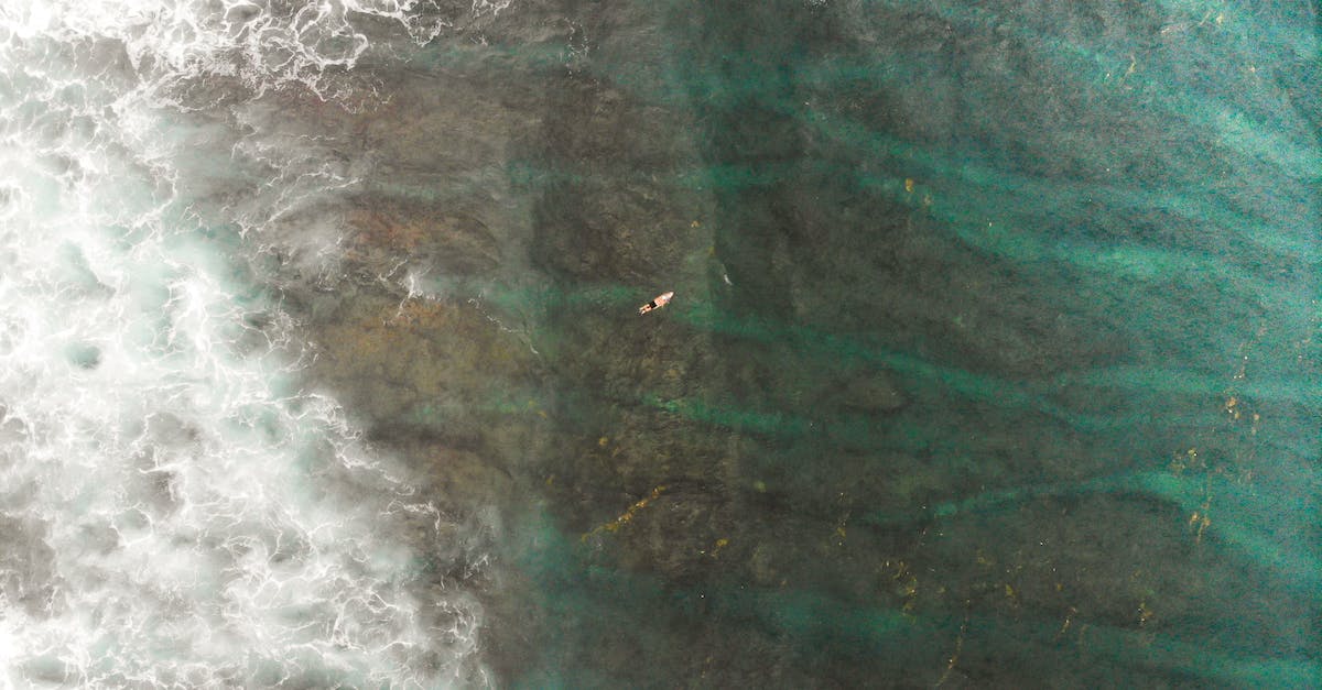 What's the difference between Solo and Multiplayer in Elite? - Person on Surfboard Waiting for Big Waves What's the difference between Solo and Multiplayer in Elite? - Person on Surfboard Waiting for Big Waves