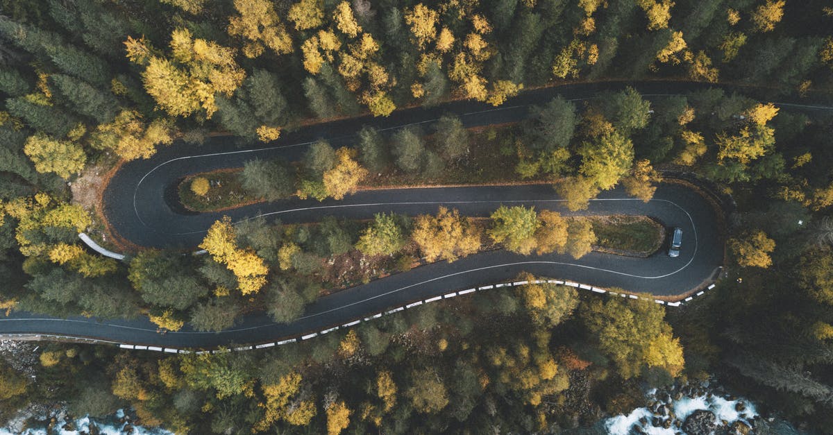 What's the fastest car in Grand Theft Auto Online? - Top View Photo of Curved Road Surrounded by Trees