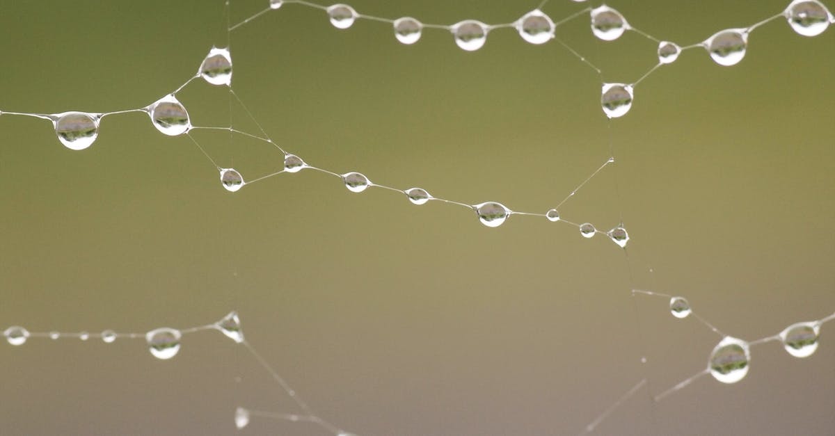 What's the legendary drop rate of Ghom? - Water Droplets on Spider Web
