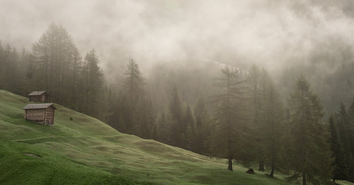 What's the minimum forestal mass required to generate land wildlife? - Hillside covered with green trees under mist What's the minimum forestal mass required to generate land wildlife? - Hillside covered with green trees under mist