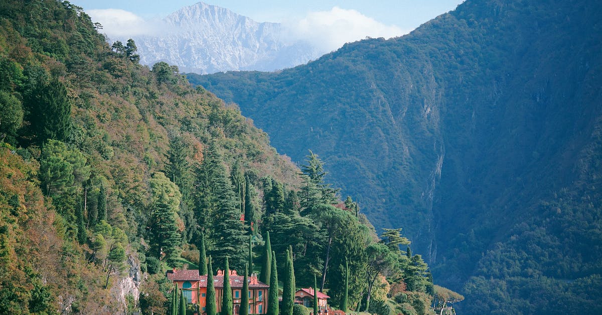 What's the minimum forestal mass required to generate land wildlife? - Breathtaking landscape of green mountains near lake What's the minimum forestal mass required to generate land wildlife? - Breathtaking landscape of green mountains near lake