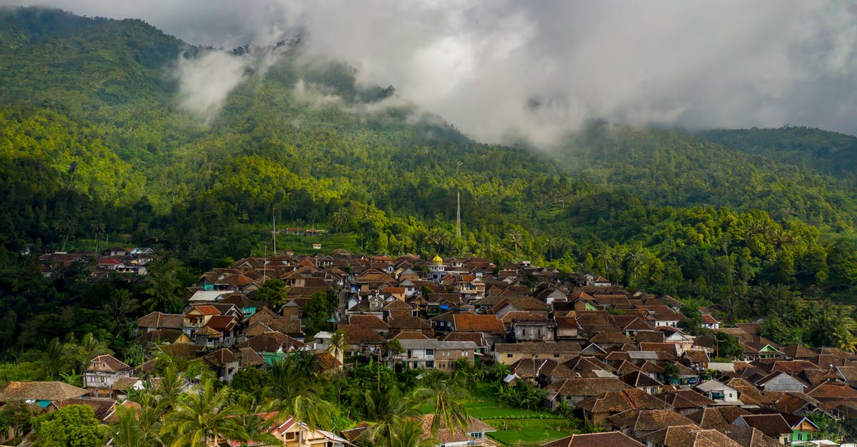 What's the minimum forestal mass required to generate land wildlife? - Town Surrounded by Trees What's the minimum forestal mass required to generate land wildlife? - Town Surrounded by Trees