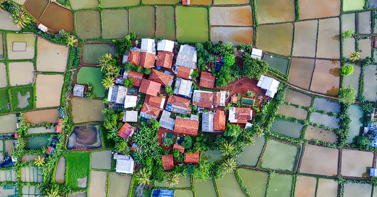 What's the minimum height for the spawning area of a mob farm? - Drone view of small village with colorful residential houses located amidst various wet rice plantations in suburb area in countryside