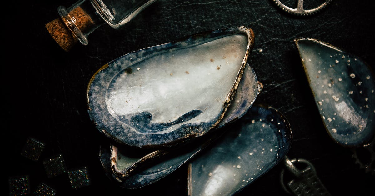 What's the point in choking enemies in Metal Gear Solid 4? - Large seashells placed near metal gear wheel