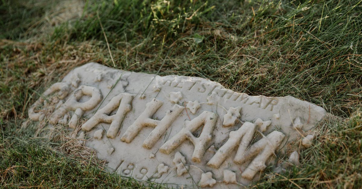 What's the proper name for the armored Volatile variants? - White Concrete Stone on Green Grass